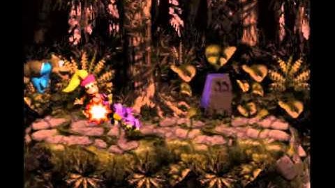 Donkey Kong Country 3: Dixie Kong