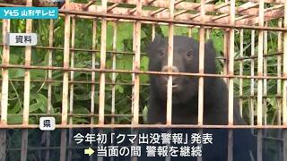 今年初のクマ出没警報発表 市街地での目撃が相次ぐ