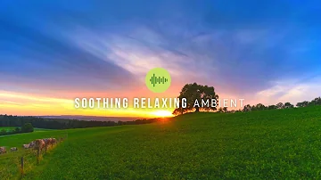 Chinese Flute Piano Soothing Relaxing Ambient Music For Relaxation Meditation Yoga Stress Reliever