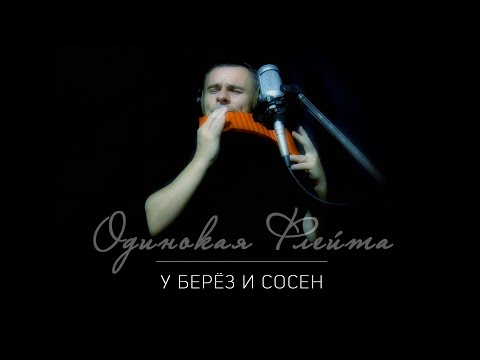 Видео: Одинокая Флейта. У берёз и сосен.