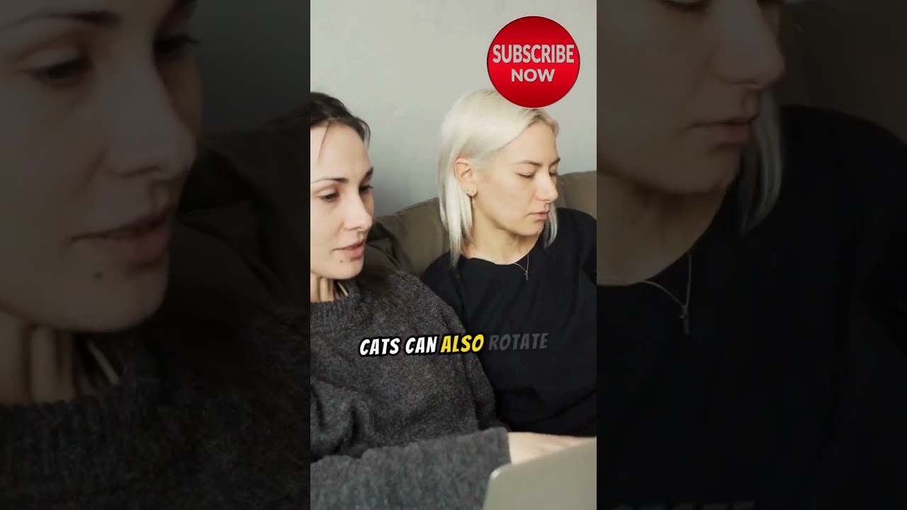 Cat Anatomy Revealed Fascinating Insights into Their Unique Features