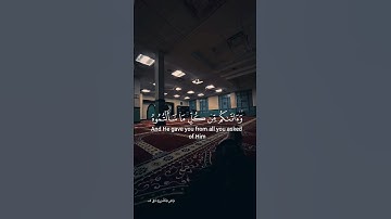 قرآن كريم 🎧 نور القلوب سورة النحل