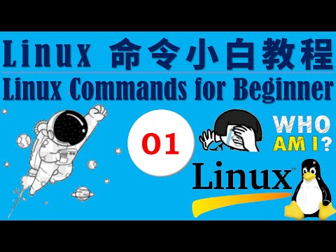Linux 命令小白教程，通过讲故事来熟悉常用Linux命令