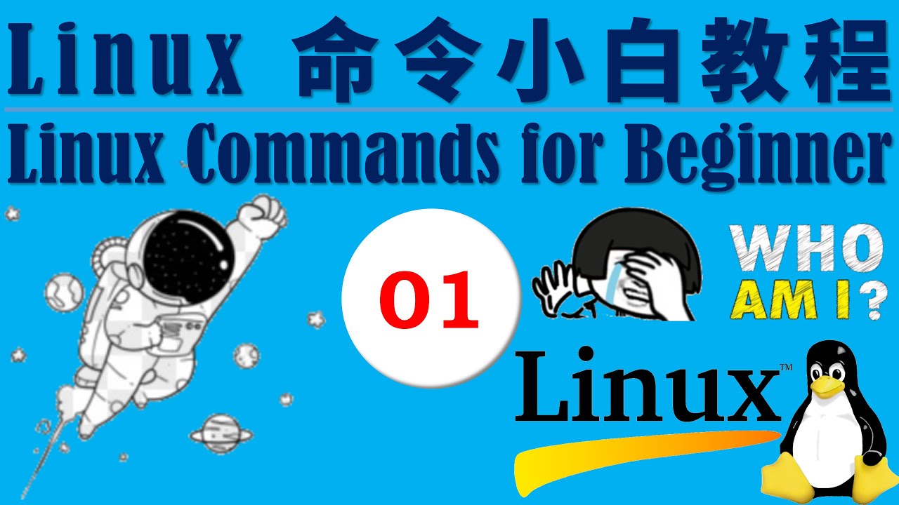 Linux 命令小白教程，通过讲故事来熟悉常用Linux命令