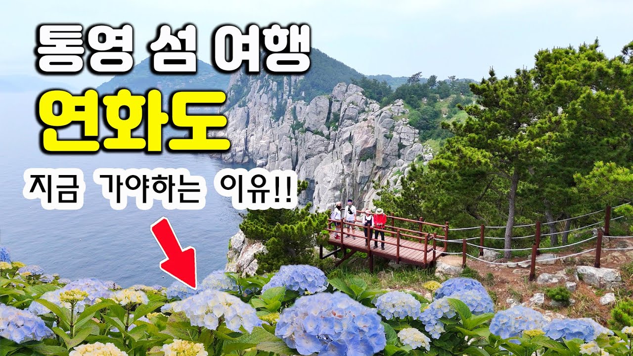 통영 섬 여행, 수국의 섬 연화도~ 수국 개화상황? 수국과 함께 하는 섬트레킹 추천!!