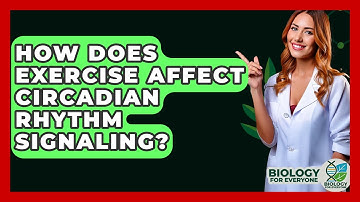 How Does Exercise Affect Circadian Rhythm Signaling? - Biology For Everyone