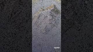 Arafat #arafah #arafat #lebbeyk #hajj #hajj2026 #hac #mekkemedine #muhammad