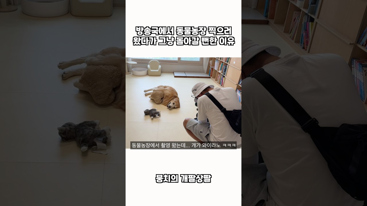 방송국에서 동물농장 찍으러 왔다가 그냥 돌아갈 뻔한 이유 ㅋㅋㅋ