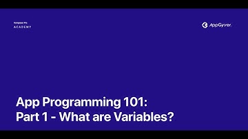 No-code App Programming 101 — Part 1 — What are Variables?