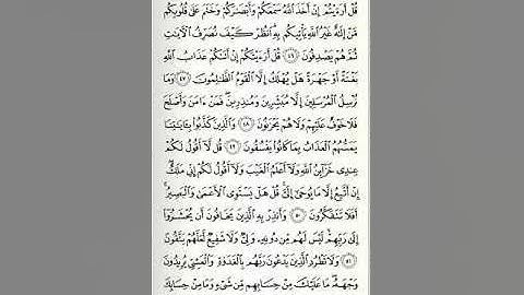 سورة الأنعام - الصفحة السادسة