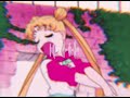 Love Is A Waste Of Time - Lovely Peaches ( slowed + reverb )