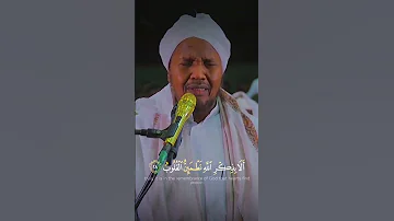 Guys Allah Protect Him This Sheikh Abdirashid Ali Sufi 