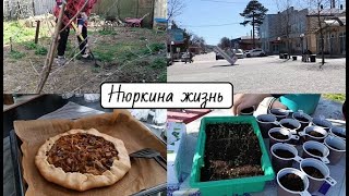 Эффективная работа на участке // Пересадка земляники // Вкуснейшая галета с картофелем и грибами