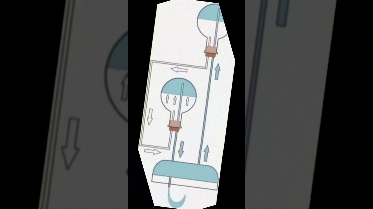 FREE 145BPM HEAVY BASS TRAP TYPE