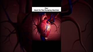 Brain: The Command Center 💀🧠 #Shorts #Science #Biology #Brain #Anatomy