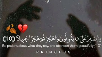واصبر على مايقولون واهجرهم هجراً جميلاً 🖤ارح سمعك🖤 تلاوة تريح القلب والعقل _ ستوريات قرآنيه