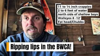 Fishing report by local fishing guides Walleye opener 2026
