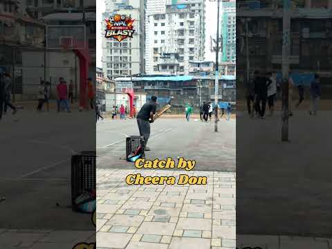 Cheera Don #trending #viral #shorts #cricket #cricketlover #sports #icc #ipl #peace