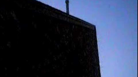 going batty - bats in the attic 3