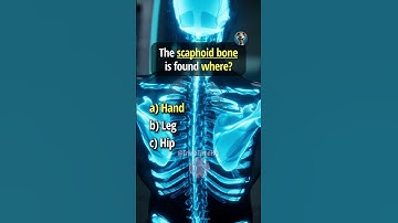 Anatomy Trivia Time! 🧠🫵🤓 #quiz #trivia #facts