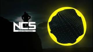Alan Walker - Heading Home [NCS Release] (Live)