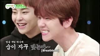 EXO's Baekhyun 'The Genius Idol'