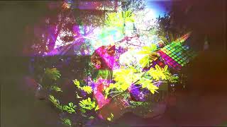 Folktronica jam with Polyend Play, SP-404 mk2 and guitar