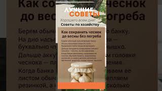 Советы по хозяйству, как сохранить чеснок без погреба до весны. Возьмите на заметку!
