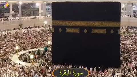 اخذها بركة وتركها حسرة ولا تستطيعها البطلة سورة البقرة بصوت امام الحرم المكي سعود الشريم