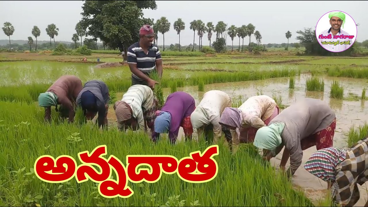 Annadhatha song  farmer song  etv annadhatha guntinagaraju  