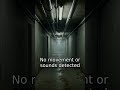Door swings open with no trigger