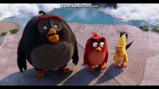 The Angry Birds Movie - Red, Chuck and Bomb found the Mighty Eagle