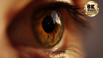 Amazing Macro World in 8K ULTRA HD VIDEO