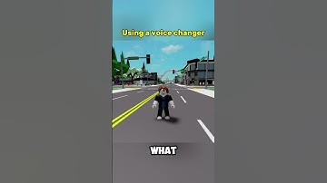 Using a voice changer on Roblox 💀