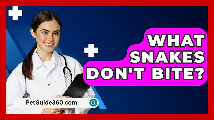 What Snakes Don't Bite? - PetGuide360.com