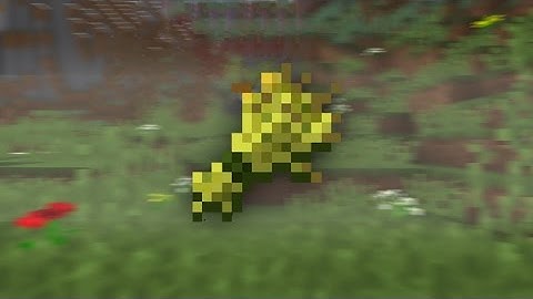 Lawn Mowers In Minecraft