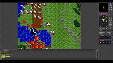 Old Tibia - PL vs SWE (Pandoria 2005 7.4)