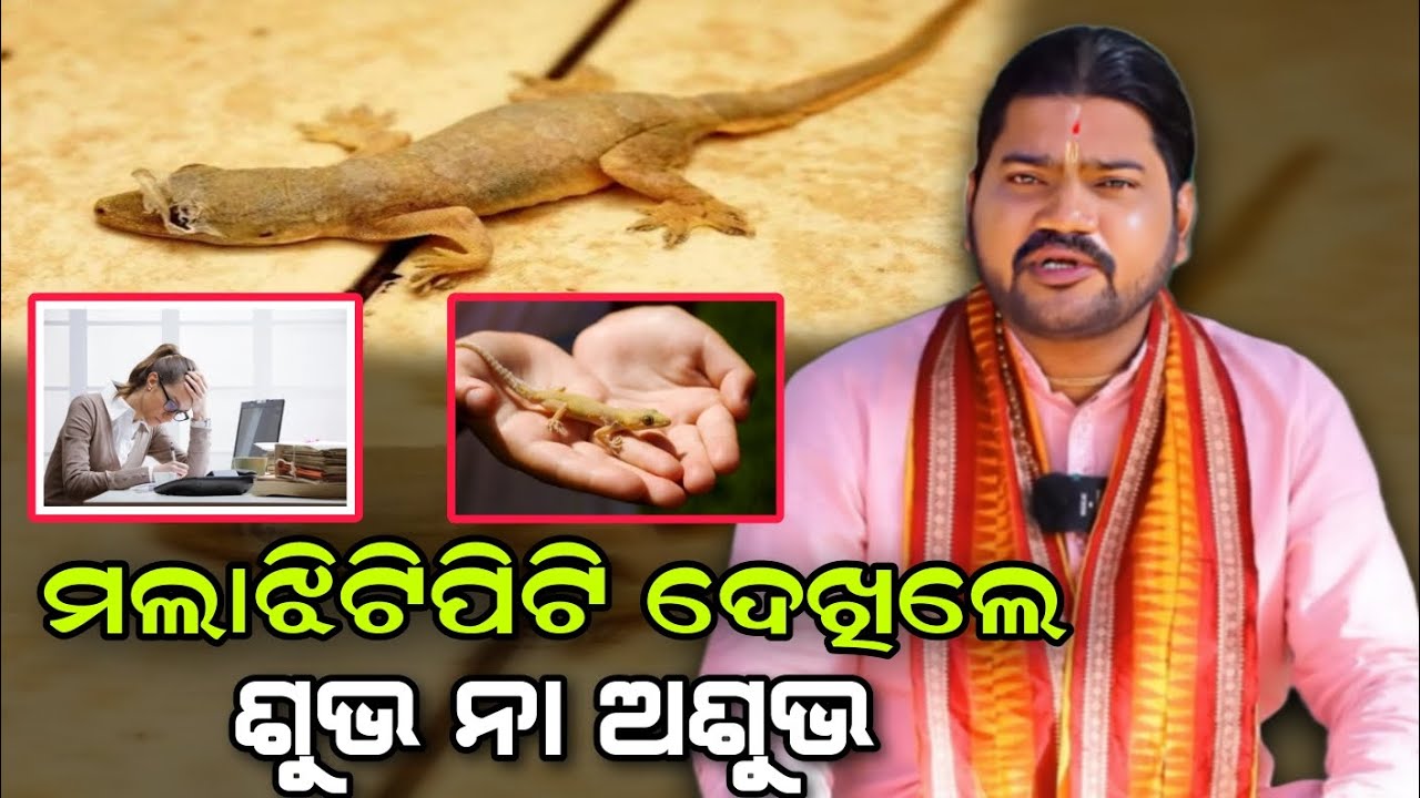 MALA JHITIPITI DEKHILE SUVHA NAA ASUVHA//@BHABADIBAKAR