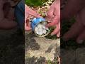 Survival skills fire starter in 1 minute  survival camping lifehacks skills