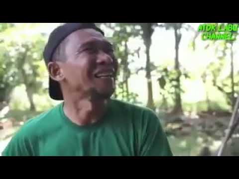 otak labu lucu