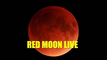 LIVE: Red Moon 2025 🌕 | Rare Lunar Eclipse Blood Moon Live Stream | Red Moon Today Full HD