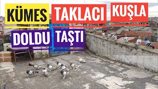 KÜMES OYUN KUŞUYLA DOLUP TAŞTI