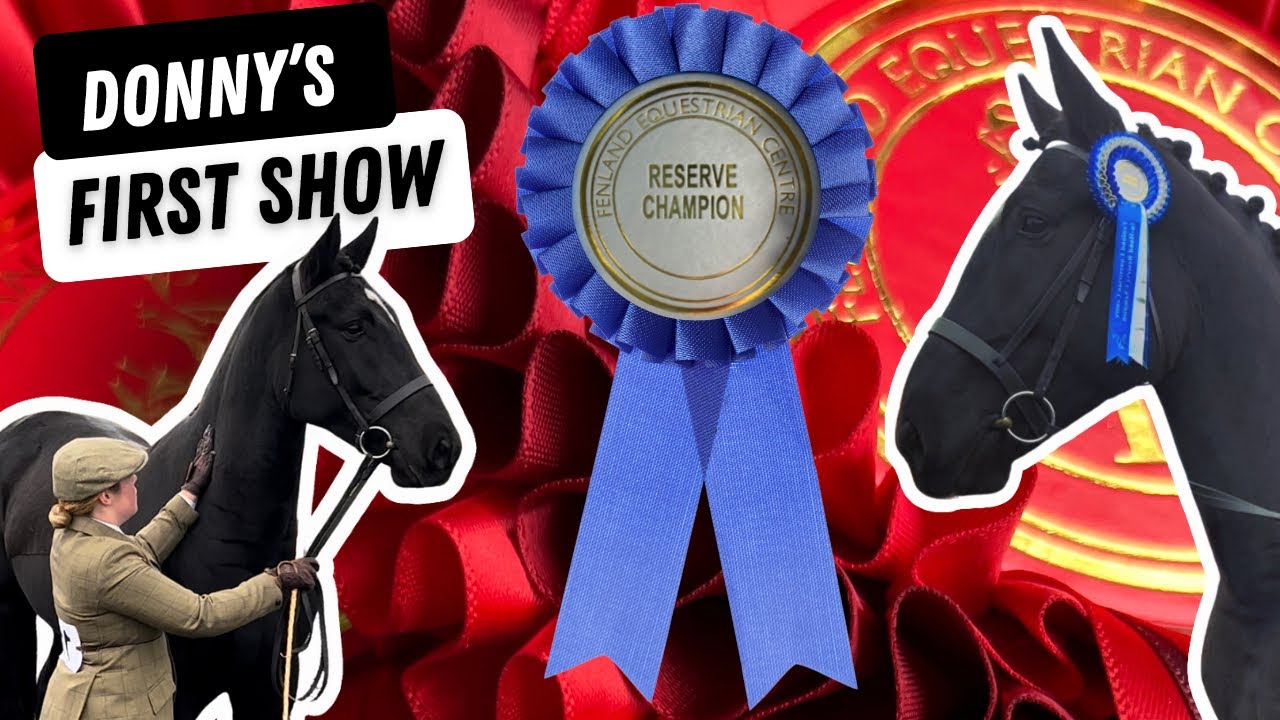 Donny’s first show! In hand showing - RESERVE CHAMPION