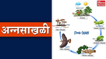 अन्नसाखळी | Annasakhali | What Is A Food Chain? | Class 5 | EVS I | Marathi Medium | SSC Board