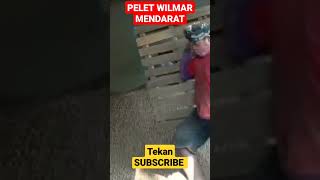 BONGKAR PELET WILMAR KOTA PATI || 083869432162 #pakan ternak #peletracing #ternaktanpangarit