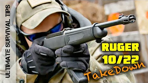 Ruger 10/22  or Henry AR 7 Survival .22 - Which Do You Need?