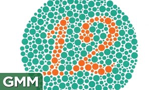 Are You Color Blind? TEST