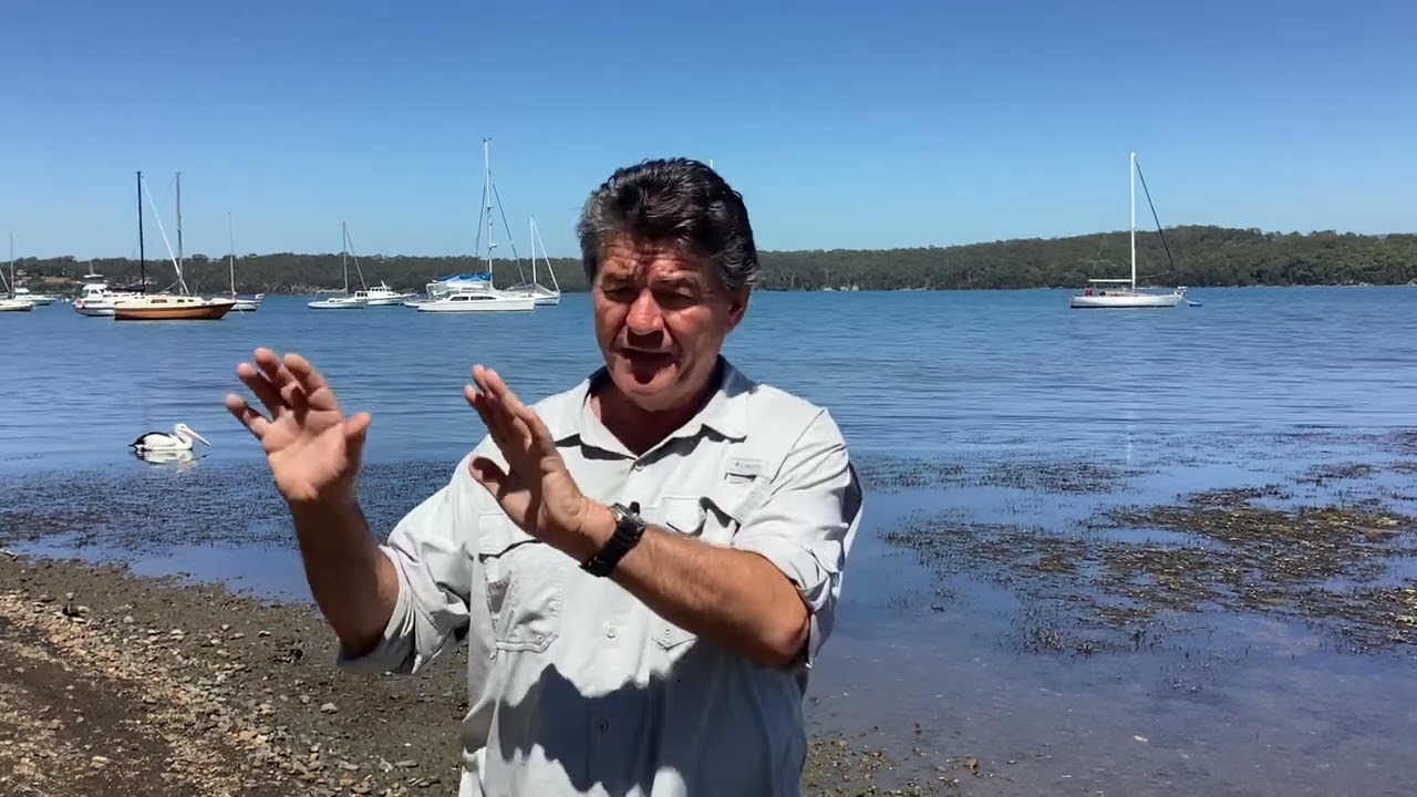 Swansea Fishing Report 08/01/2026