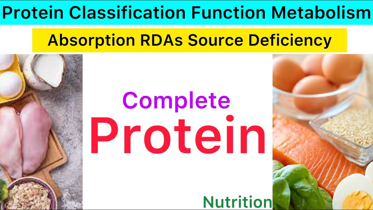 Protein Types Source Function Requirement Deficiency Absorption