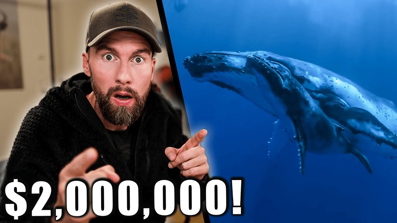 2.000.000$ für EINEN Wal! - Diesen Wert haben Sie für uns... | Robert Marc Lehmann